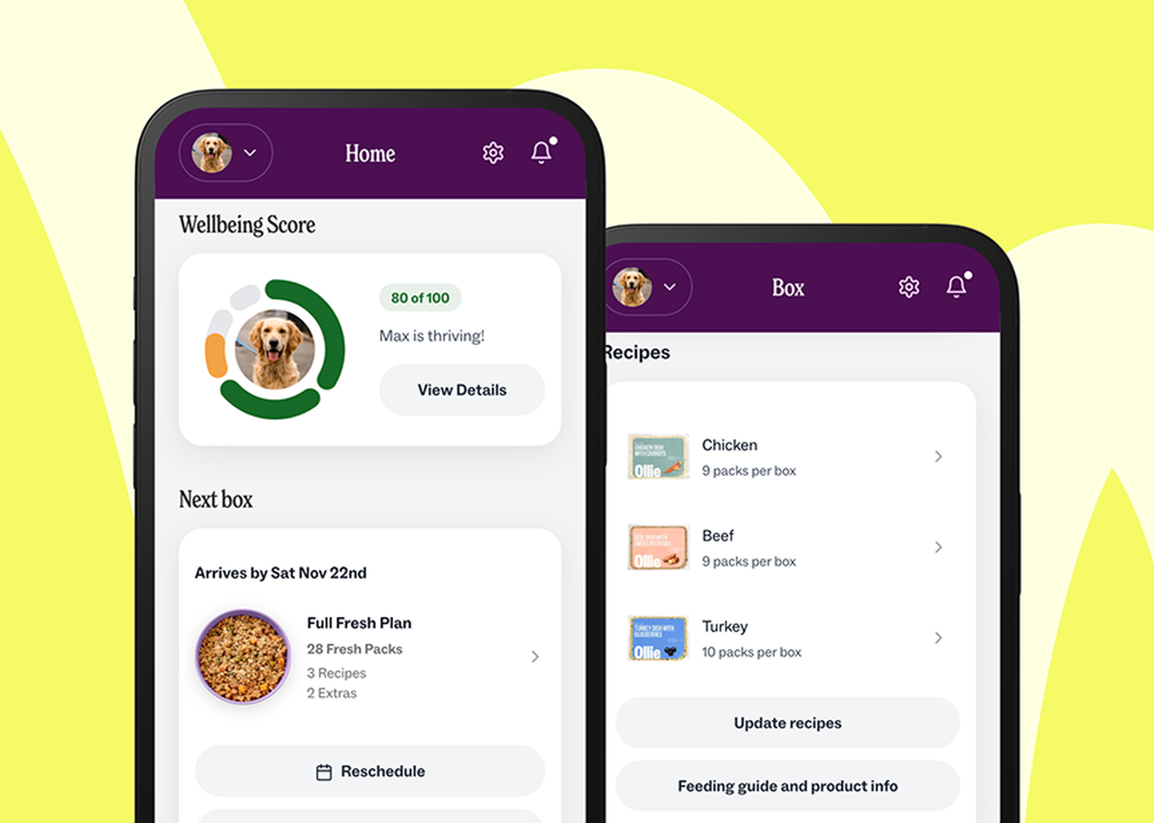 Two smartphone screens display a dog care app with a wellbeing score, next box details, and recipe options for dog food.