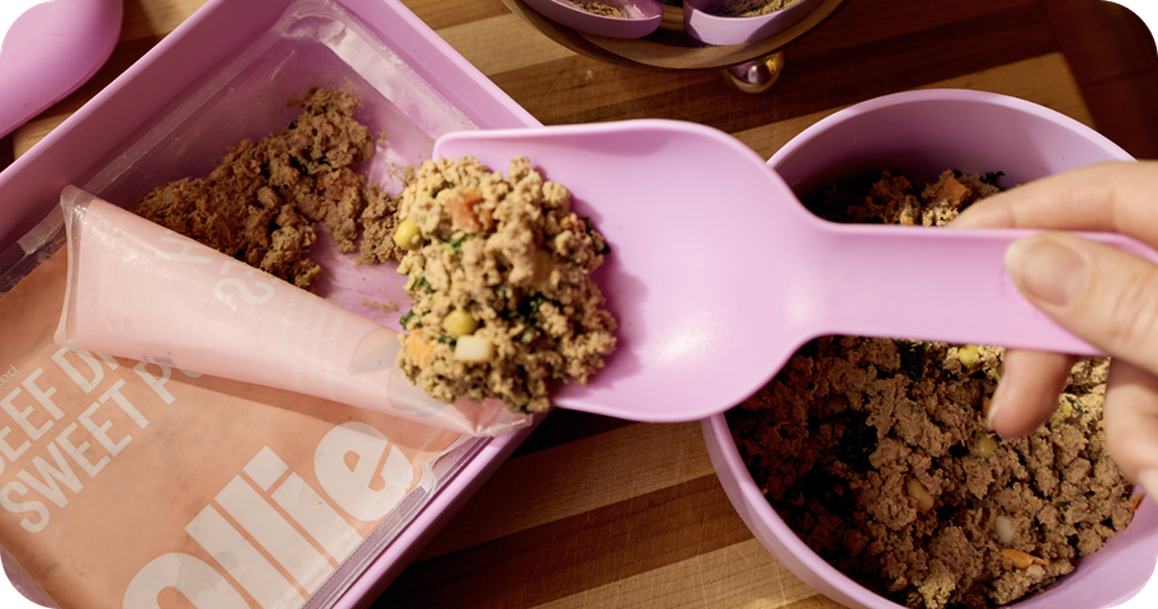 Image of a scoop serving fresh ollie dog food