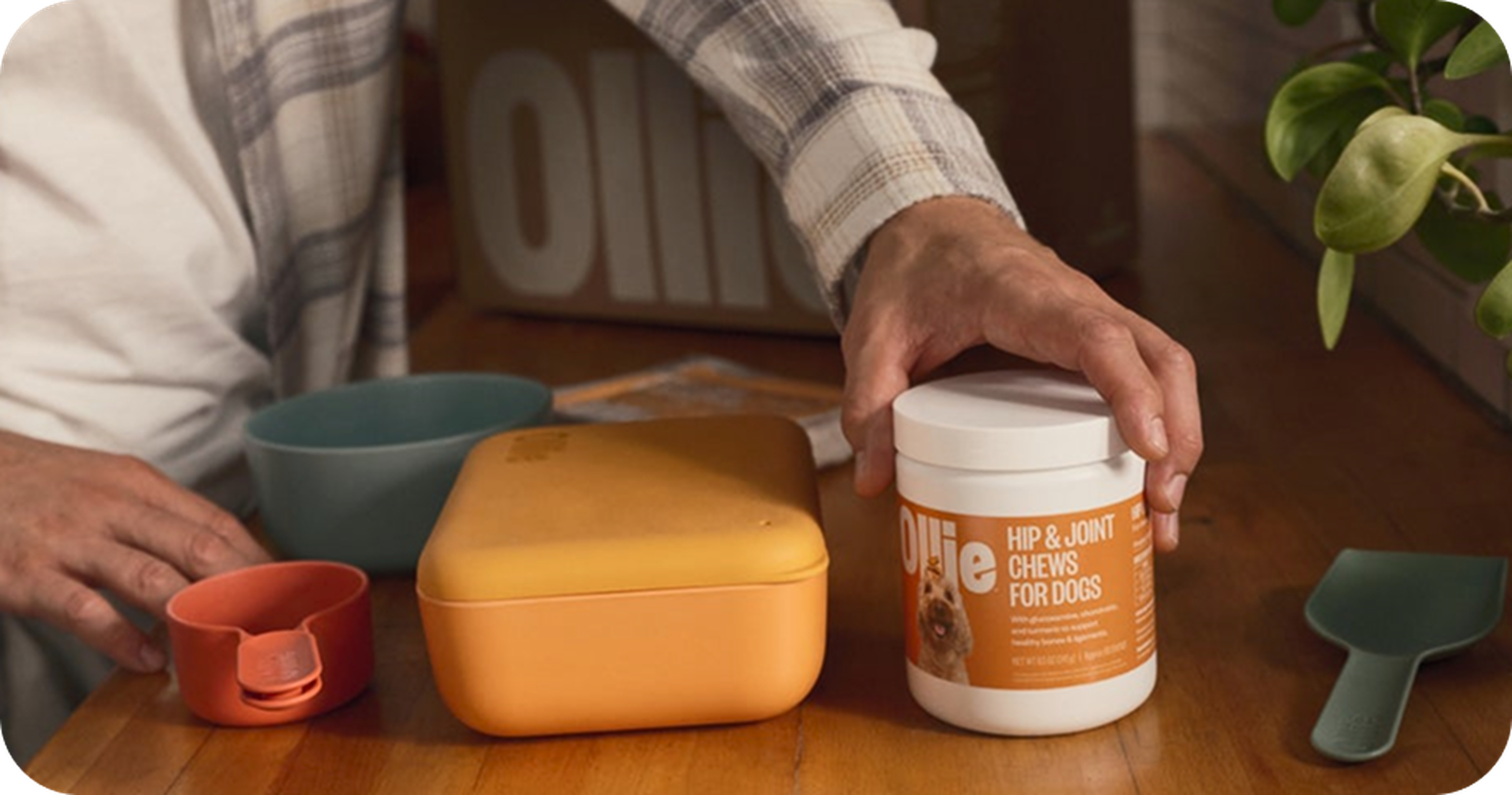 Ollie supplements sitting on a table