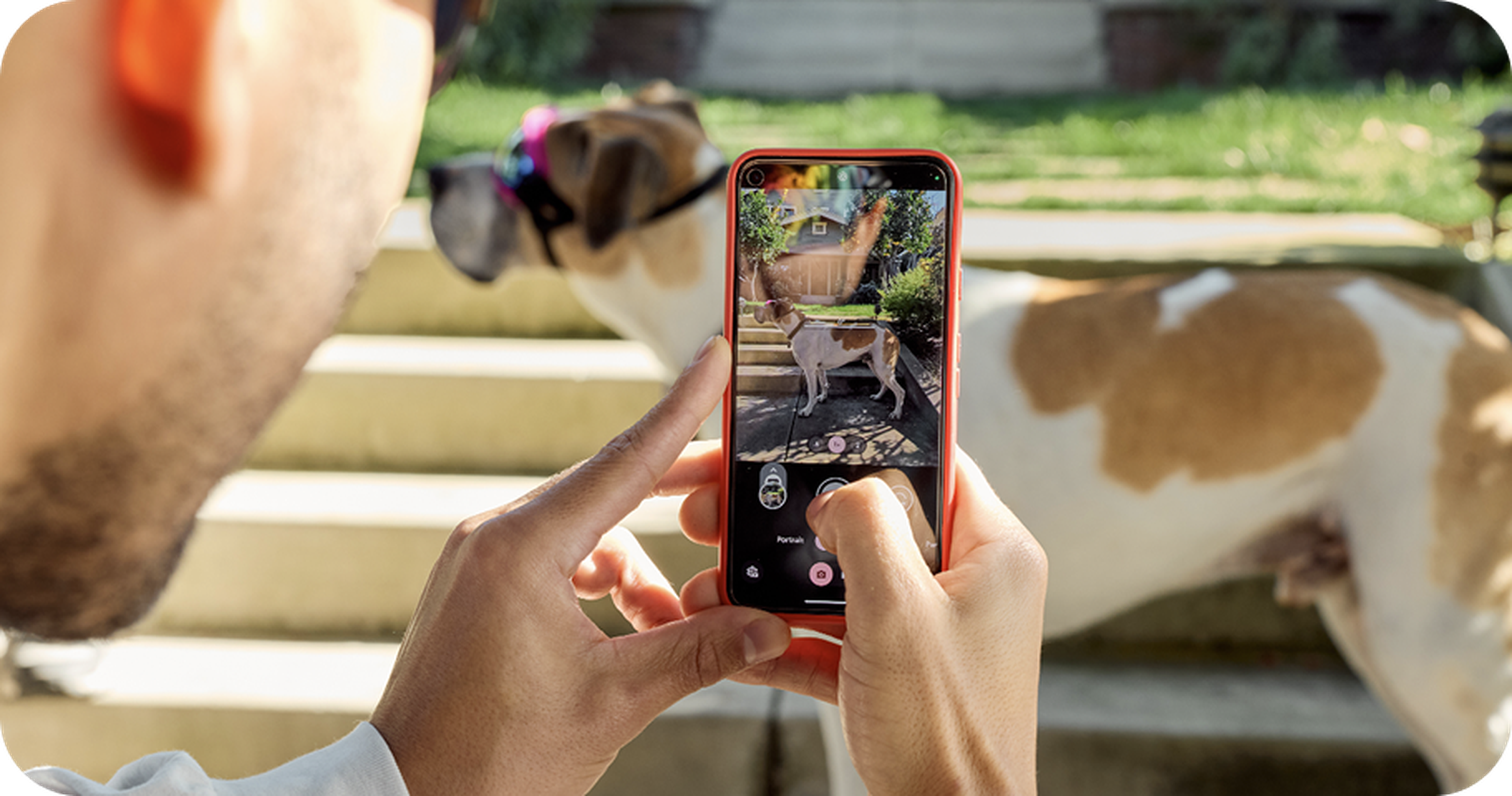 Image of a pup parent using the Ollie app to take a photo and do a health screening