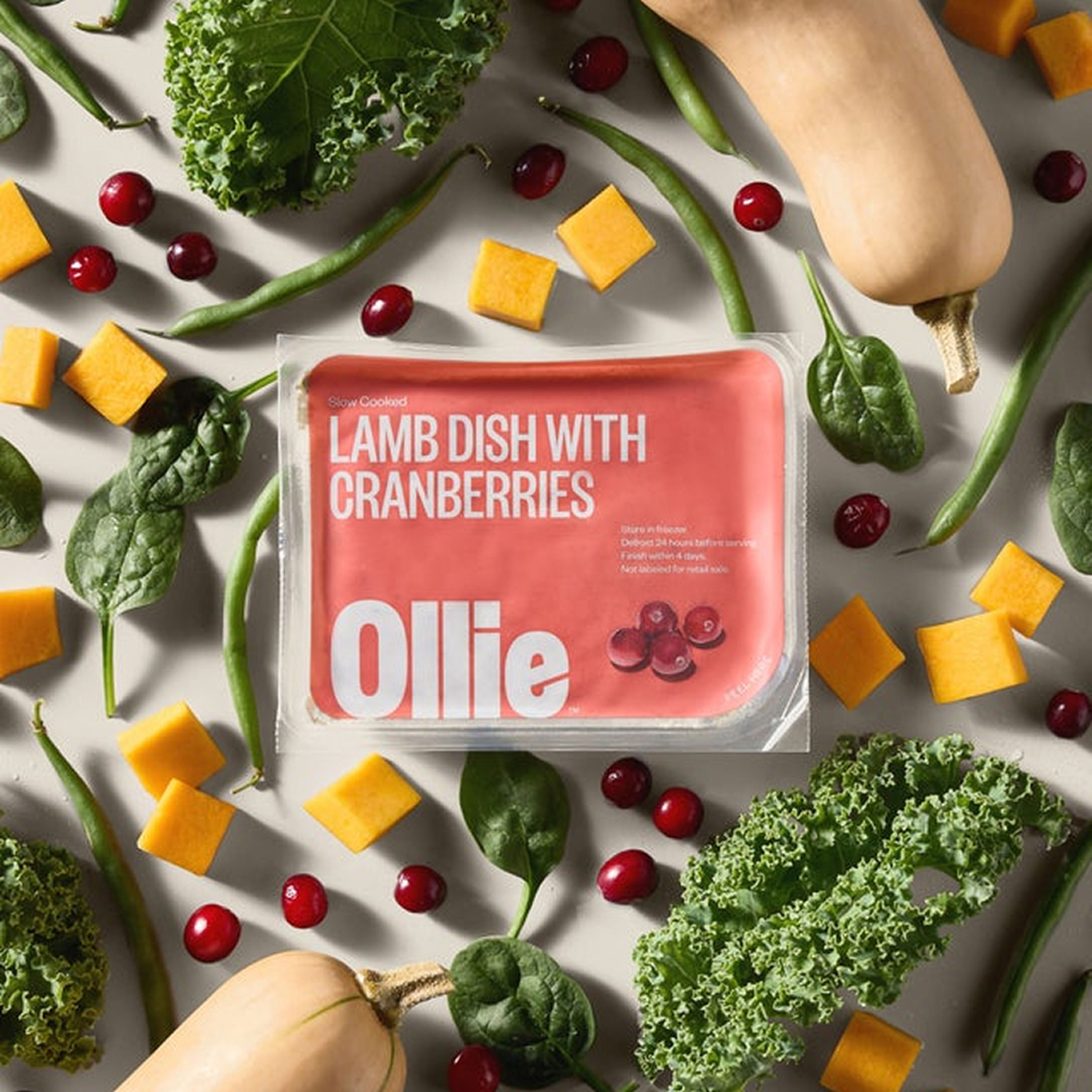 Image of a fresh pack of Ollie food surrounded by ingredients