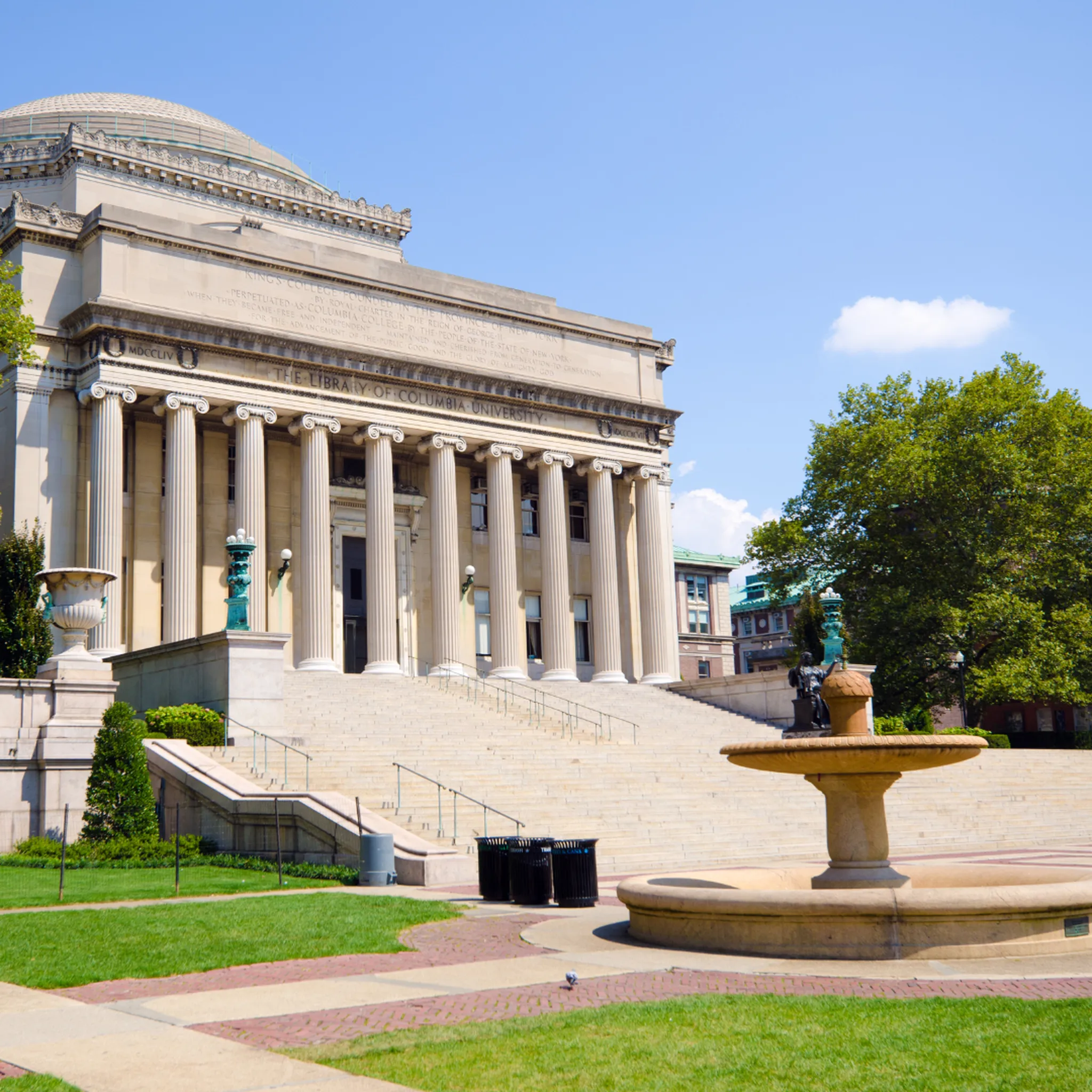 ivy league