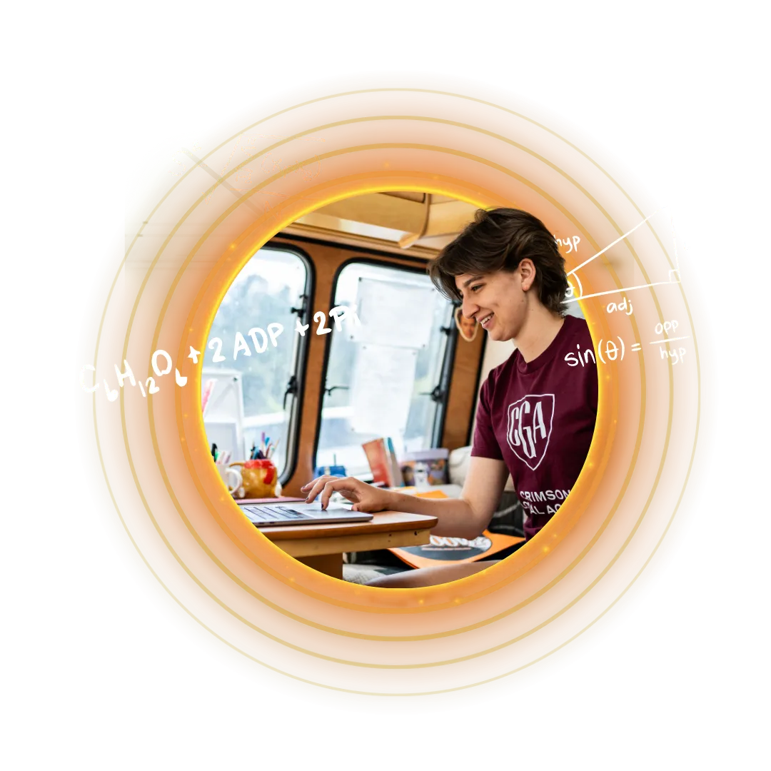 Online learning