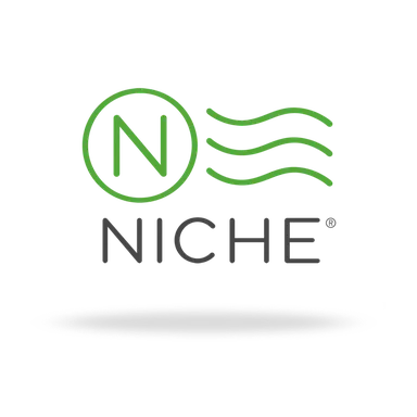 niche logo