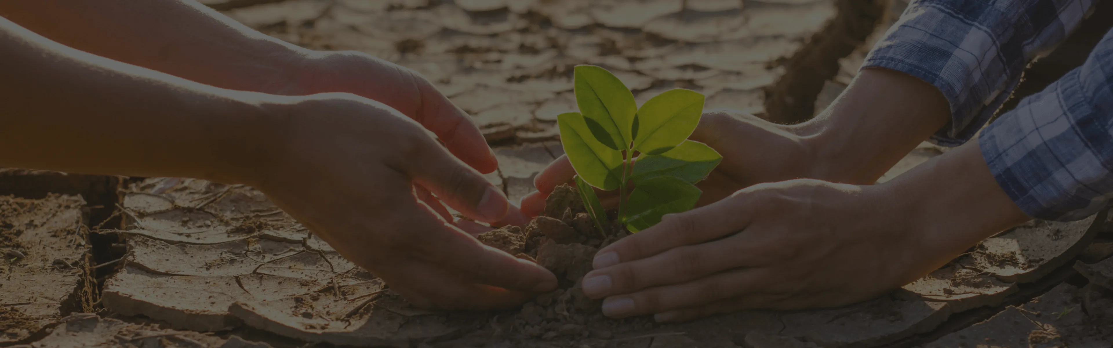 Khun Sriprab: Oxford Net Zero Youth Climate Training Course to Climate Advocacy