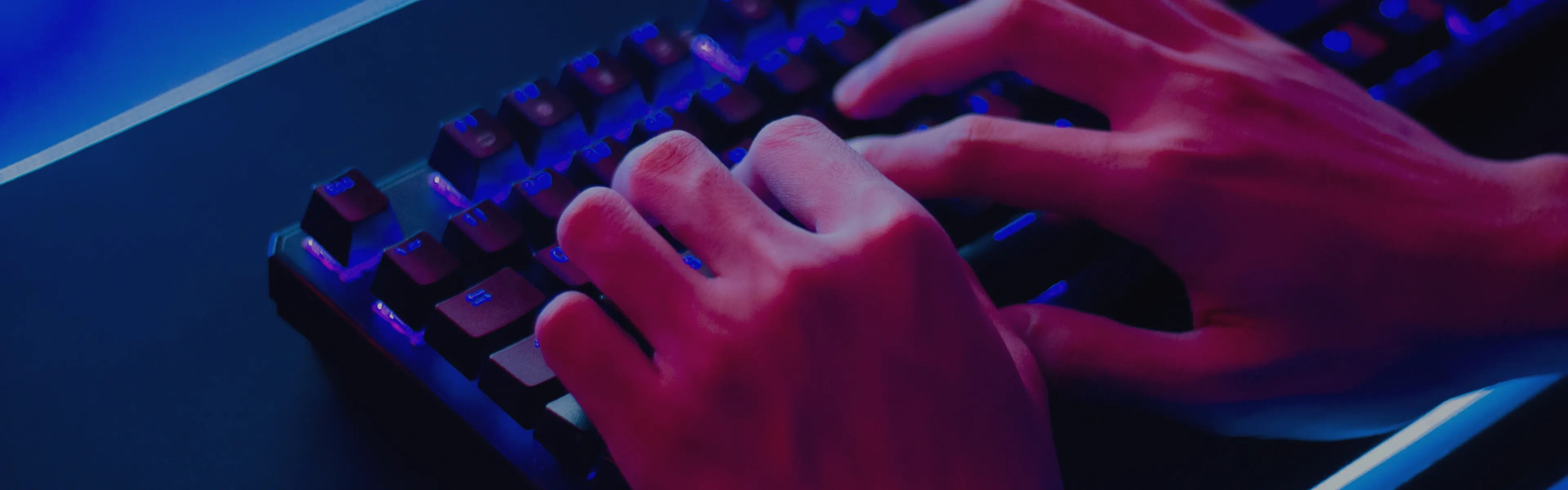 Gamer's Paradise: Learn how to become a Game Developer