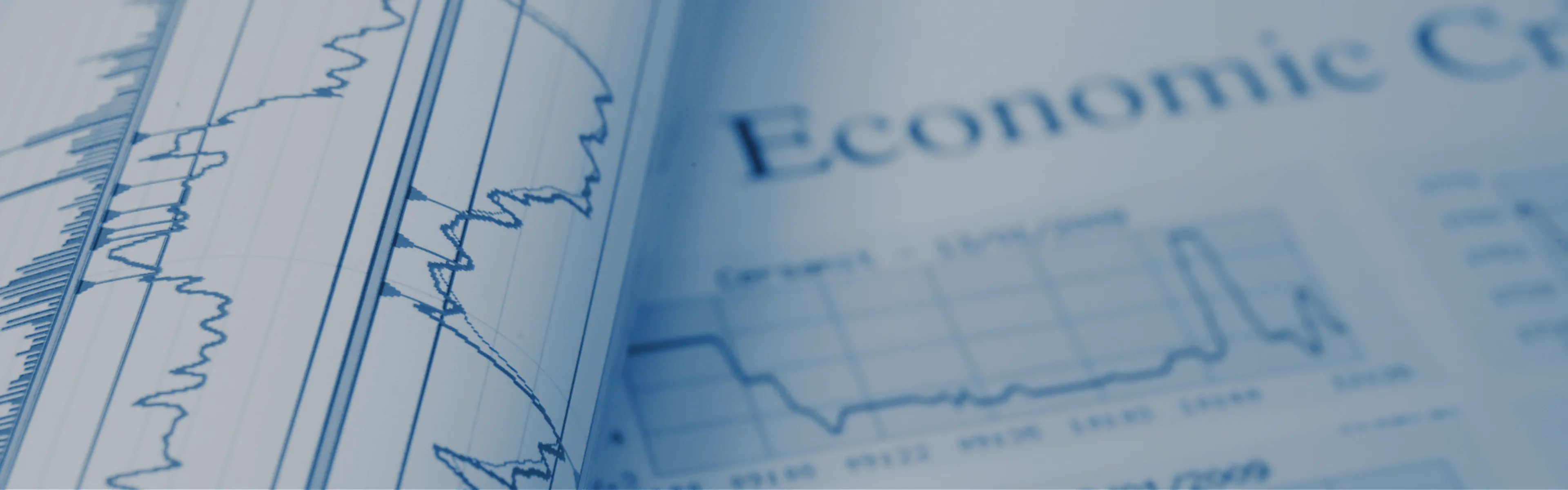 Can I Study IGCSE Economics Online?