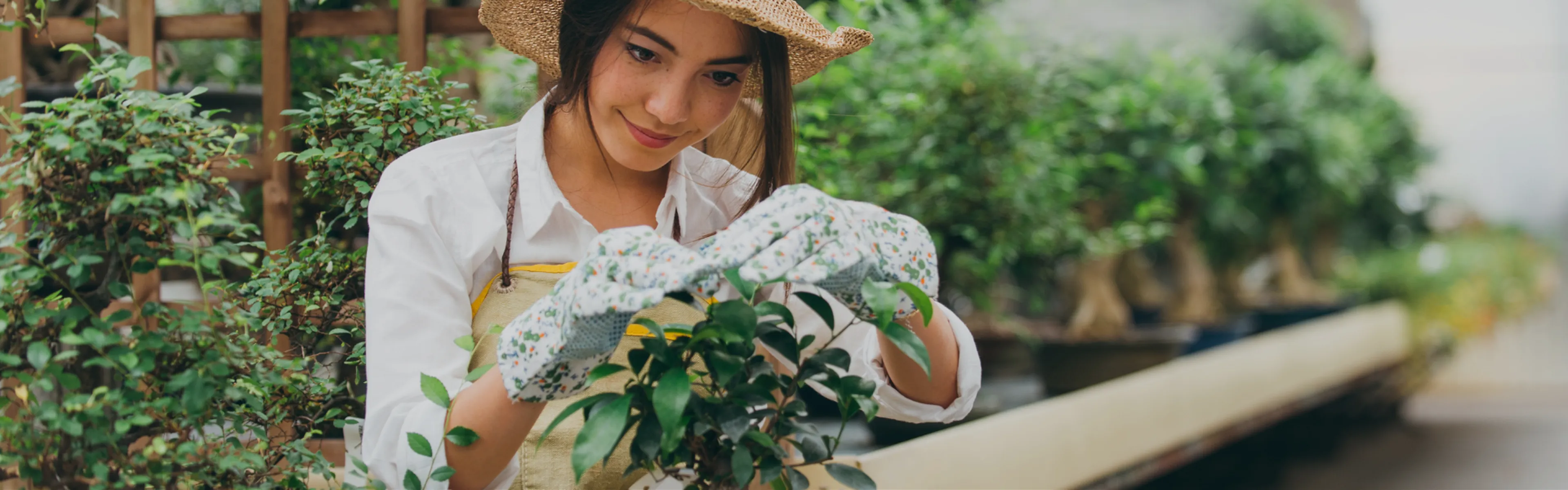 15 Benefits of Passion Projects for College Applicants
