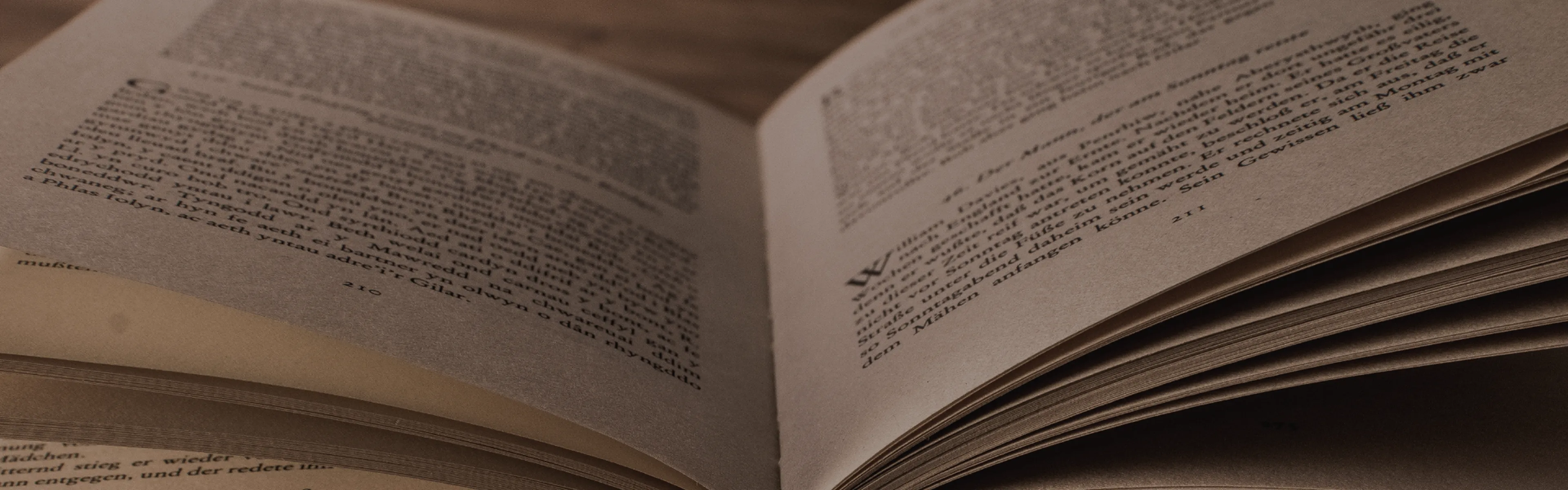 Comparing English Literature and Language
