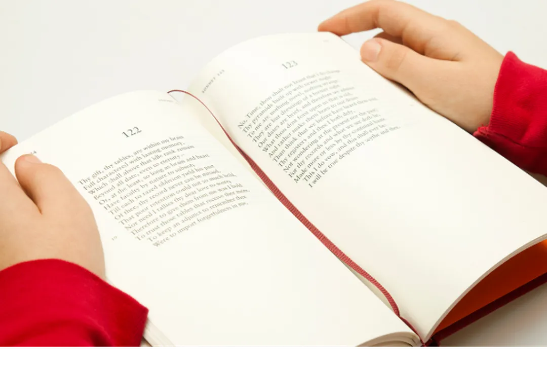 Ap English Literature Overview