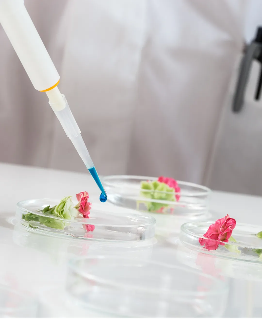 iGCSE Biology Overview