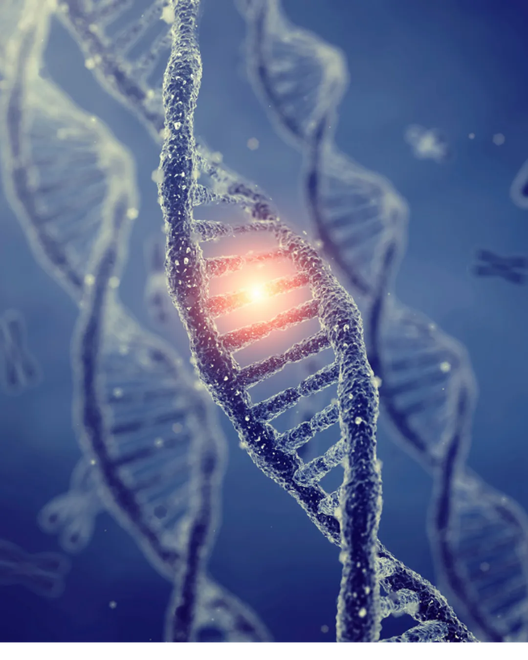 A Level Biology Overview