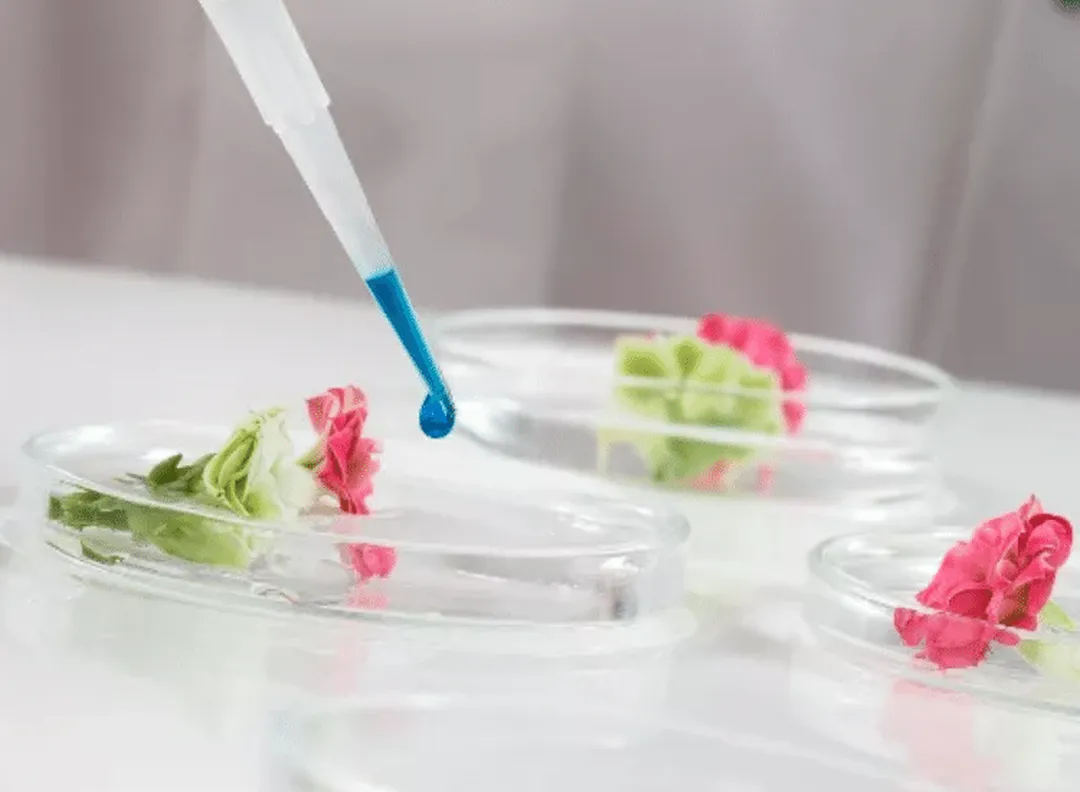 bio