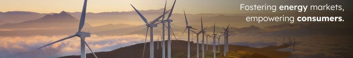 Council of European Energy Regulators cover
