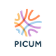 Logo of PICUM