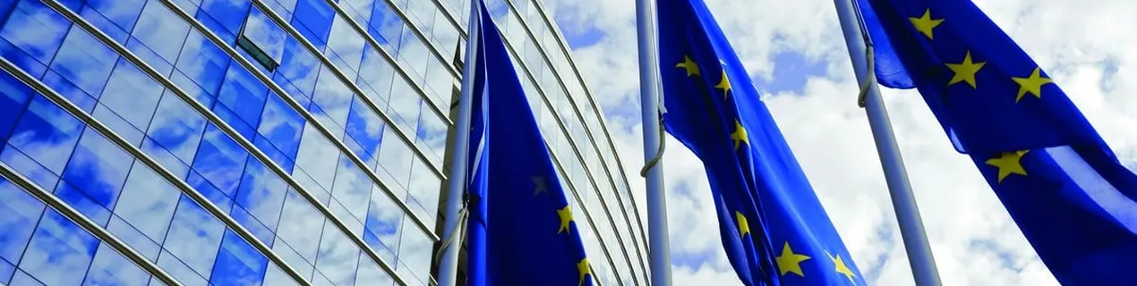 Еўразвяз заклікаў беларускія ўлады неадкладна вызваліць усіх палітвязняў