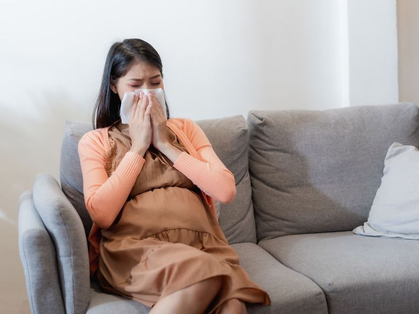 Guide to Battling Pregnancy Rhinitis