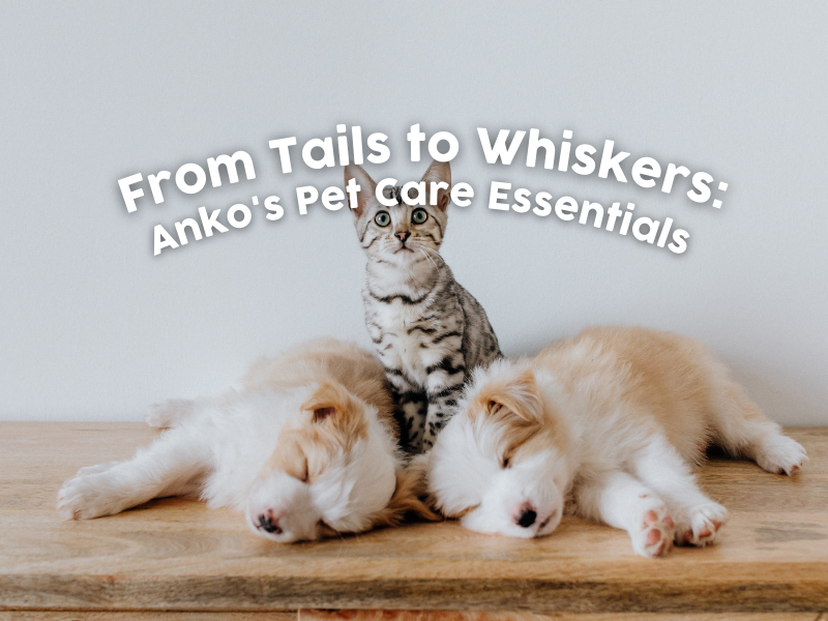 From Tails to Whiskers Anko's Pet Care Essentials