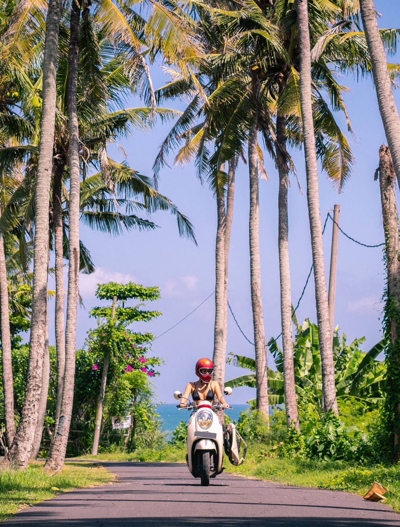 A young woman riding a scooter between palm trees in Bali.