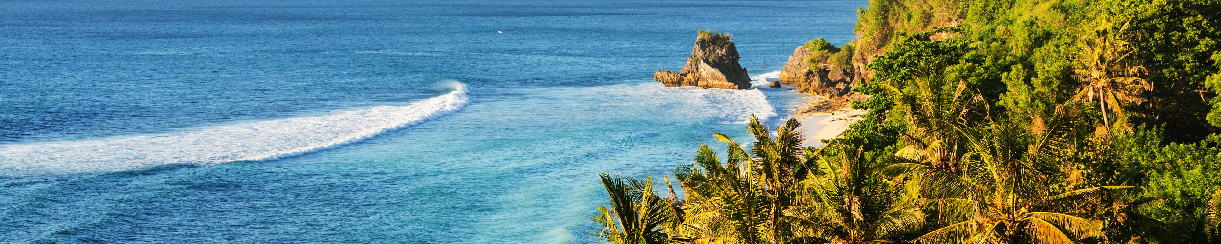 Palm trees overlooking the beach in Bali, Indonesia.