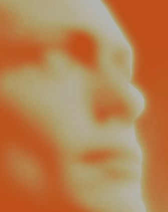 insights-