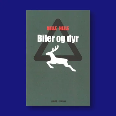 Billede af hovedpersonen