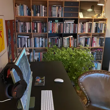 Billede af hovedpersonen