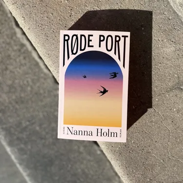 "En bemærkelsesværdigt god roman"