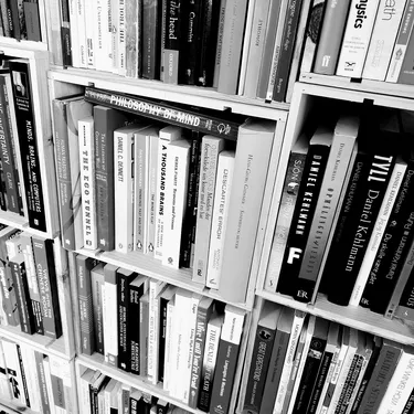 Billede tekst indsættes her