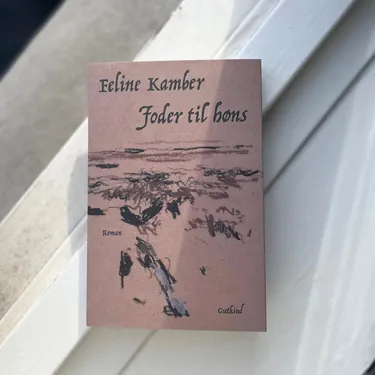 "Forrygende romandebut er et overflødighedshorn af sære væsener"