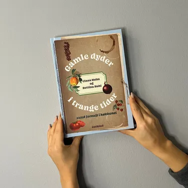 Hvad vi kunne i et køkken før i tiden – kan vi også nu