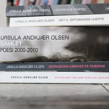 Billede af hovedpersonen