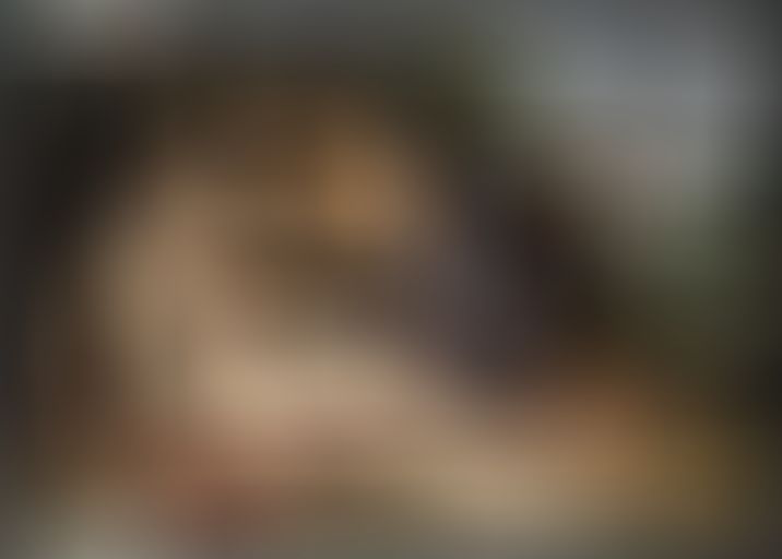 A classical painting depicts two seated, partially draped figures interacting closely, with a large eagle nearby in a lush landscape.