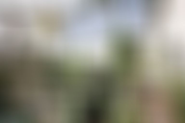 Blick von oben in den Mittelbau des Gewächshauses