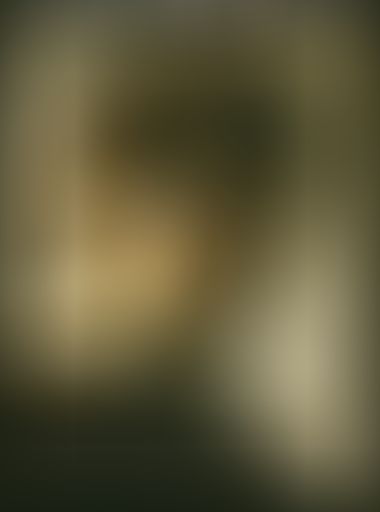 Gemälde eines jungen Mannes mit lockigem Haar, teilweise im Schatten. Sein Gesichtsausdruck ist nachdenklich, der Hintergrund ist sanft beleuchtet.