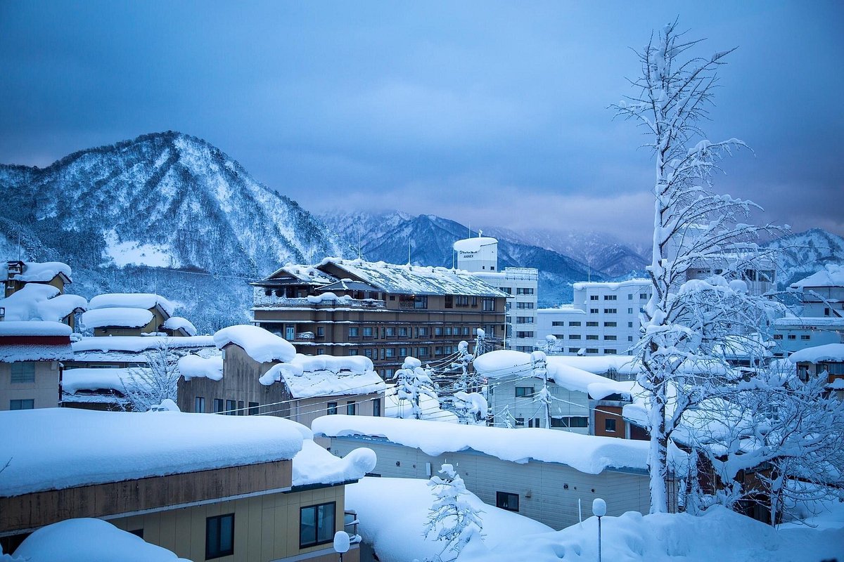 Yuzawa town