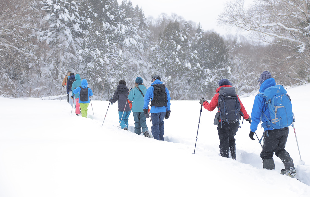 shiga snowshoe