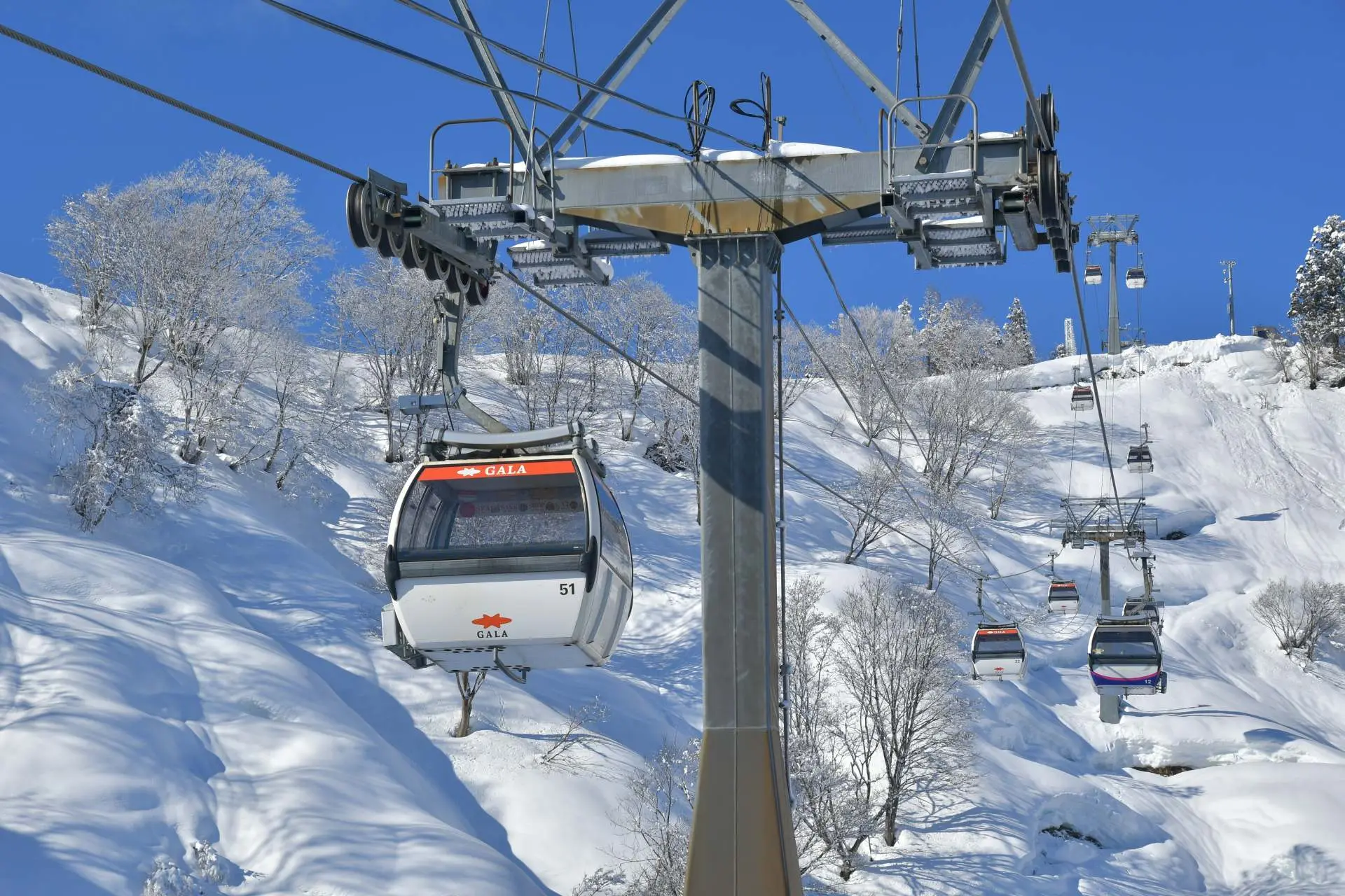 Gala gondola