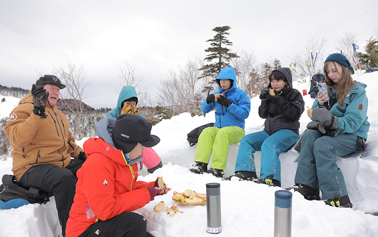 Minakmai snowshoe
