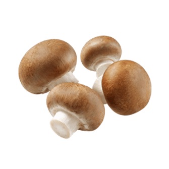 Champignon De Paris Tout Savoir Sur Ce Champignon