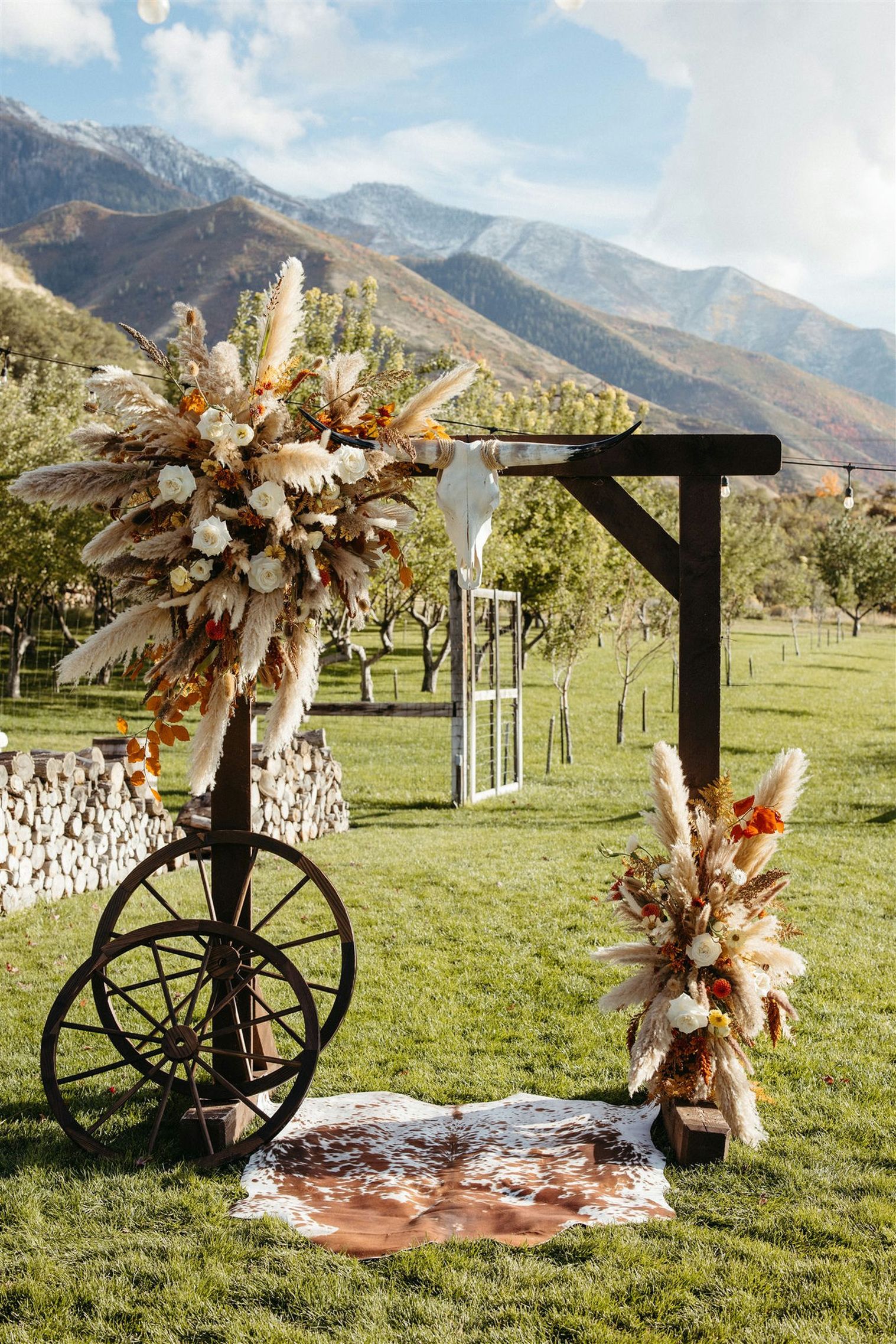 boho wedding arch with pampas grass, steer head, wagon wheels, and cow hide