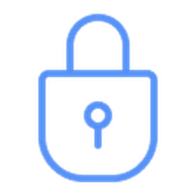 Data security icon