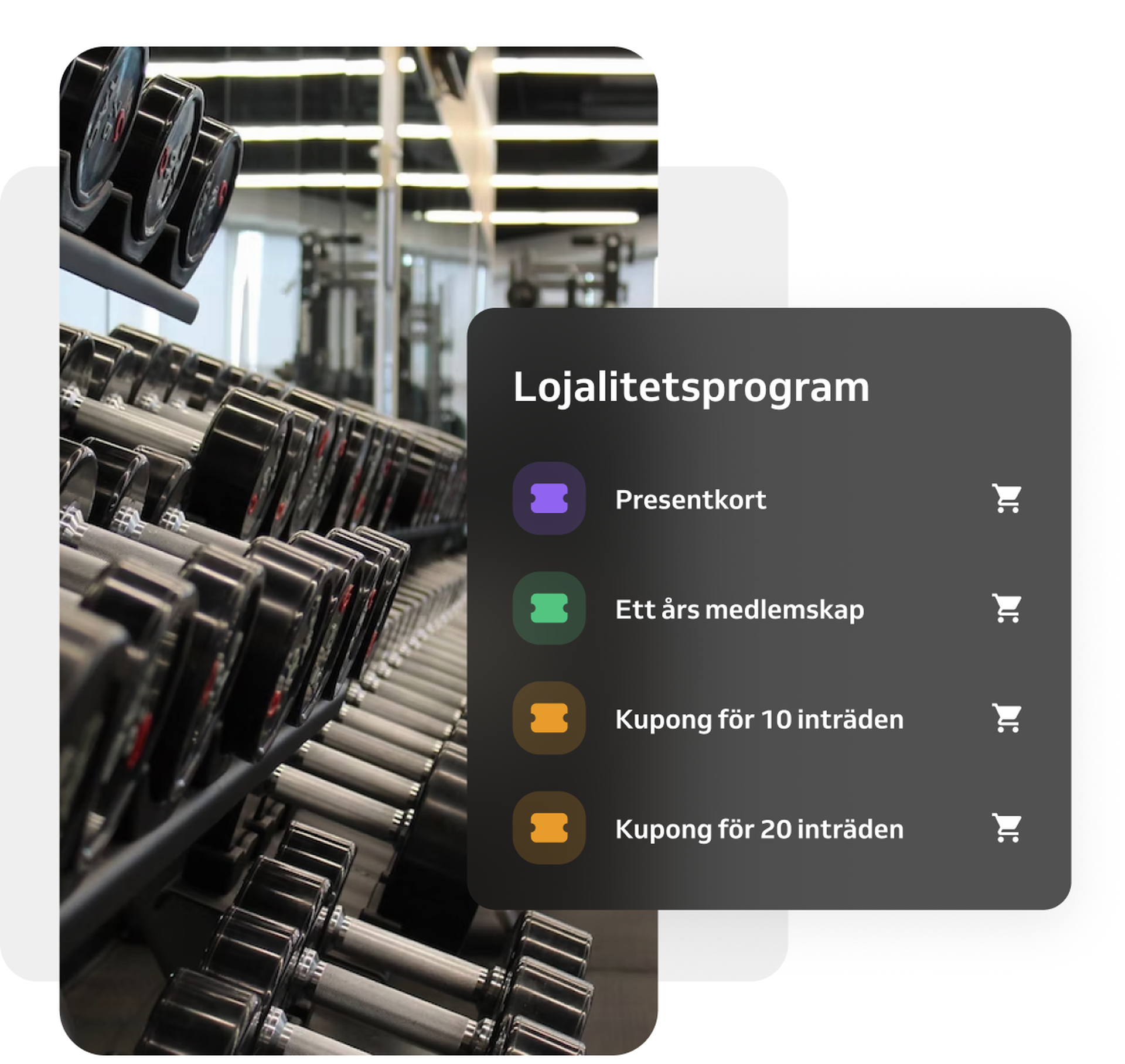 Lojalitetsprogram i appen för varumärket