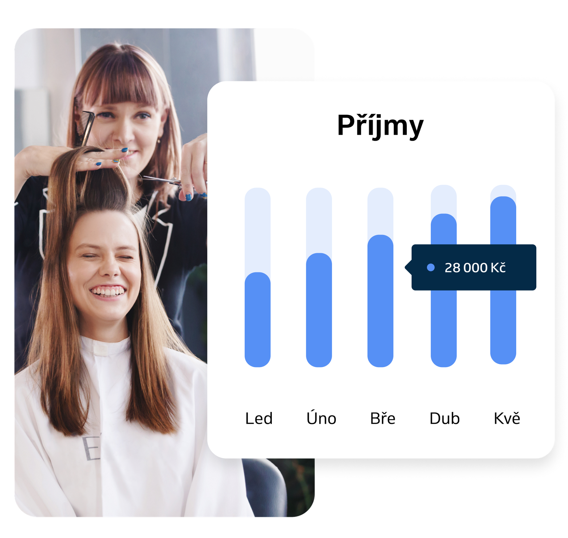 Report příjmů z podnikání