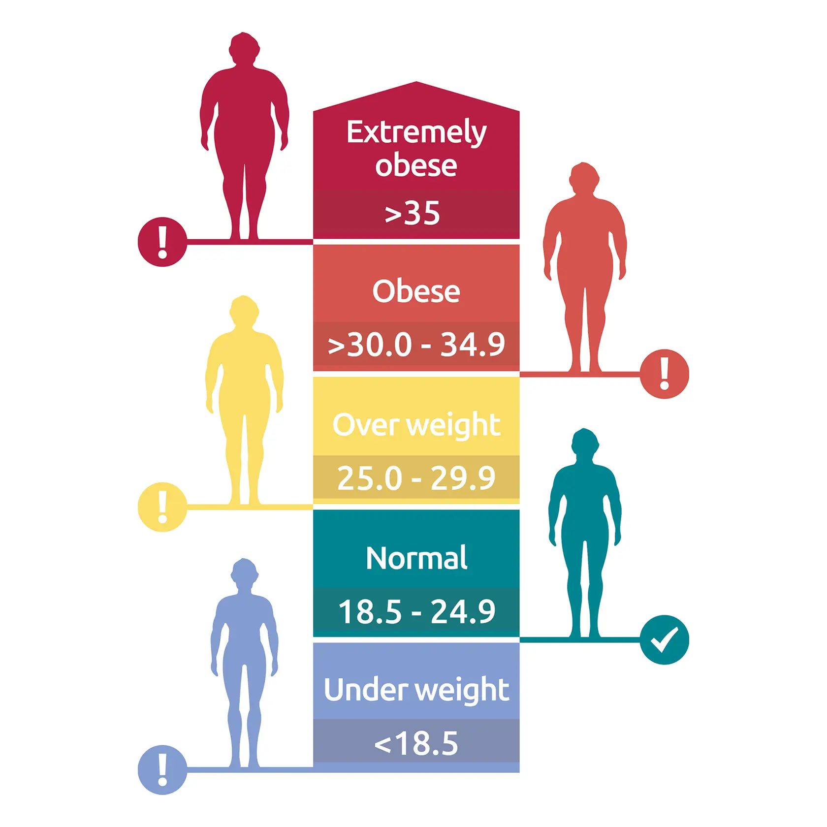 Bmi Chart Nhs HC Dec2016 Thumbnails