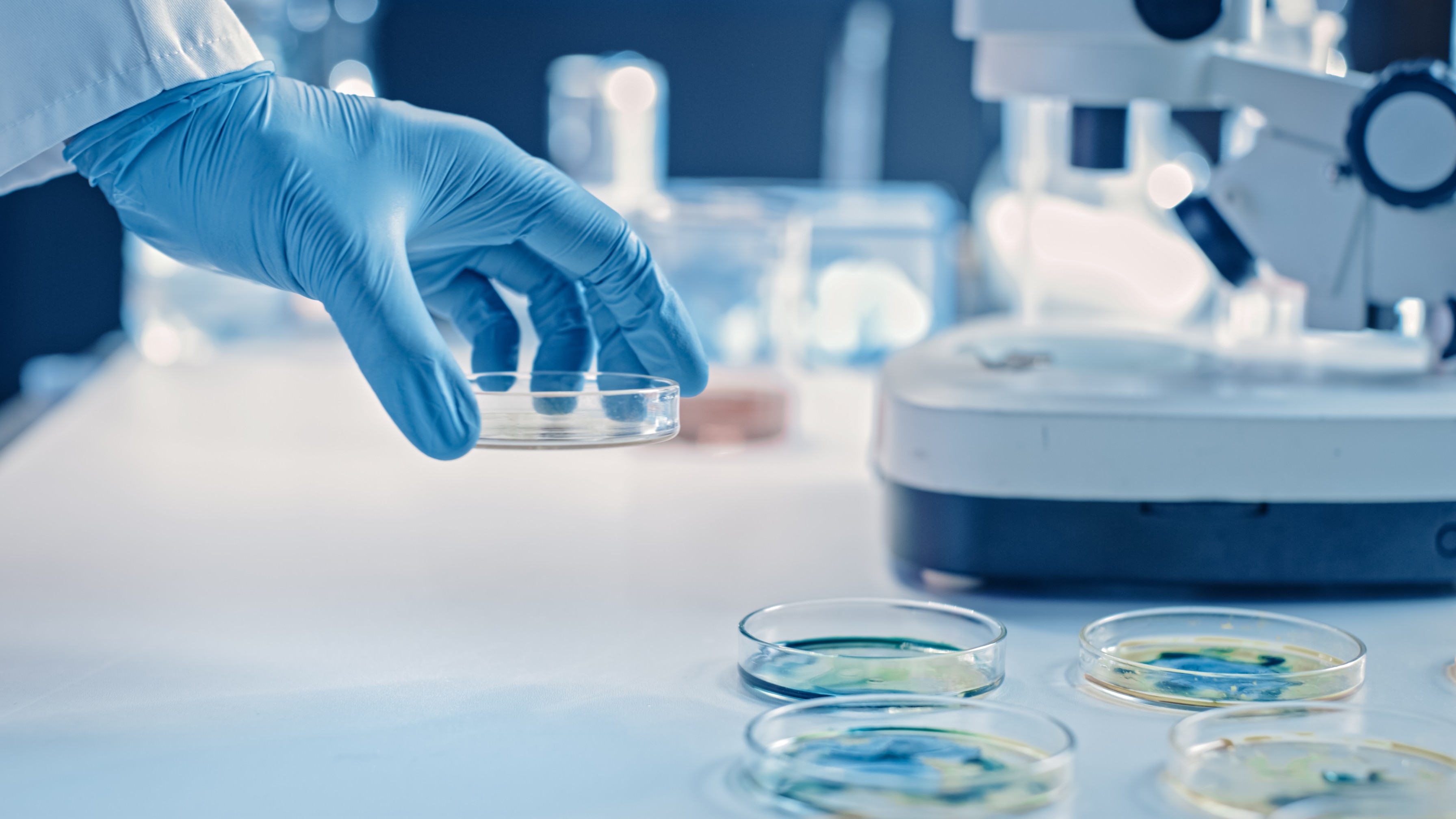 ICSI in Polen | TFP