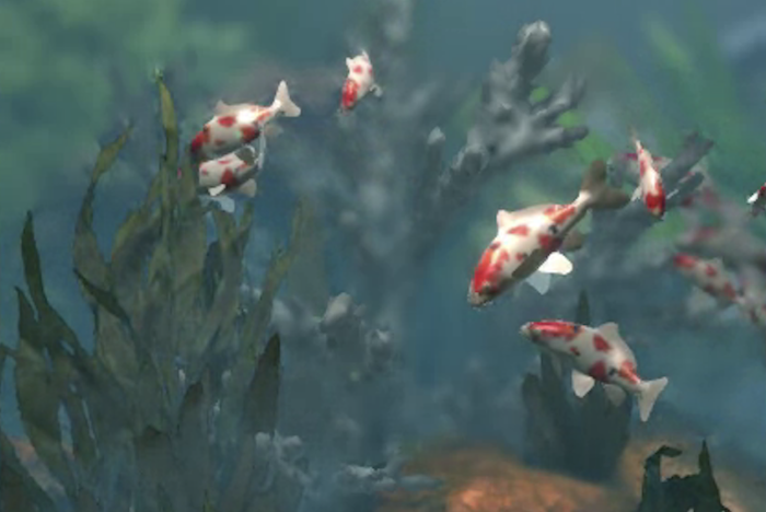 orange and white fish in the ocean