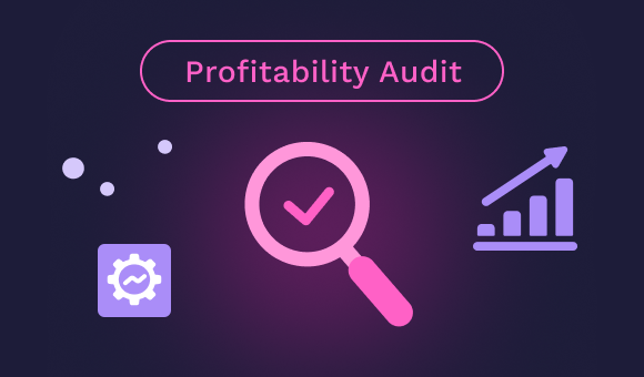 Purple background with "Profitability Audit" text, a magnifying glass, gear, and upward chart icons.