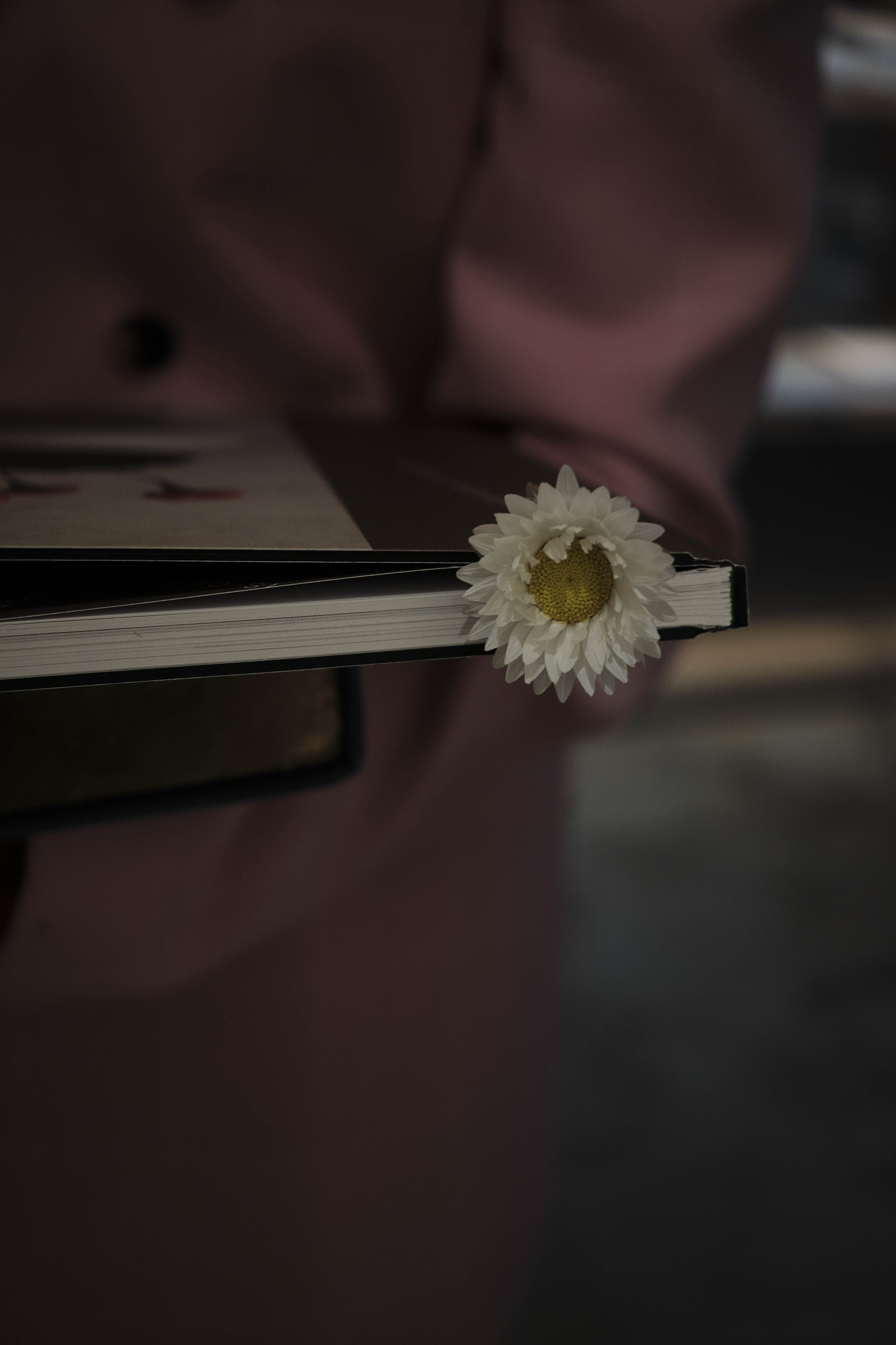 JUST AN IDEA BOOKS