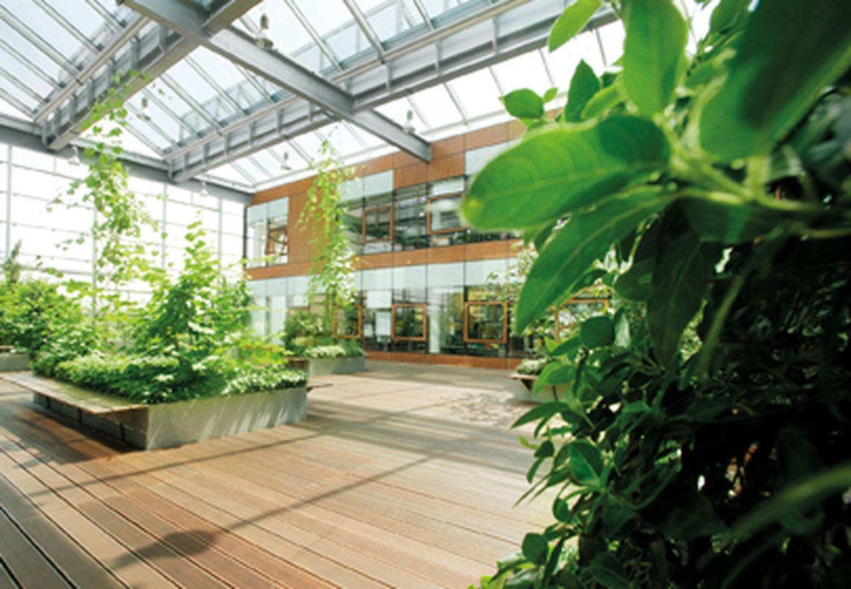 A modern, light-filled atrium with a glass roof and lush plants, combining natural elements with sustainable architecture to create an inspiring space for relaxation and interaction.